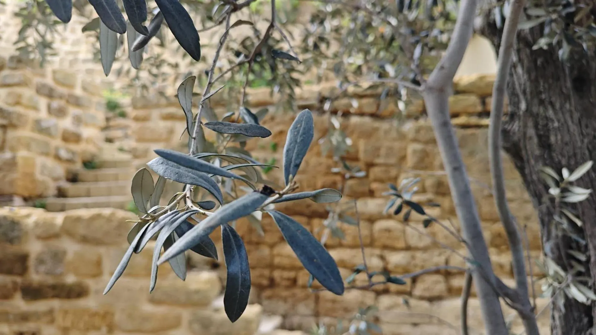 Penzion Villa Amoroso - Ospitalita Mediterranea Agrigento